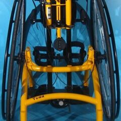 Antrenor vertical mobil handicap Schuchmann Tood