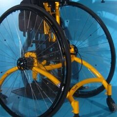 Antrenor vertical mobil handicap Schuchmann Tood