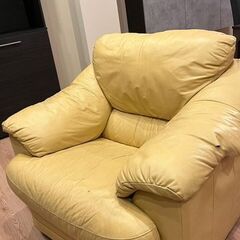 Canapea si fotolii