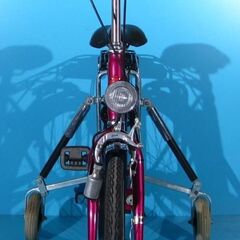 Bicicleta ortopedica pentru adulti Haverich