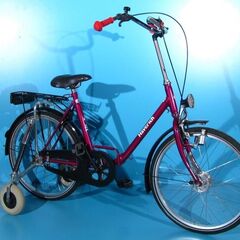 Bicicleta ortopedica pentru adulti Haverich