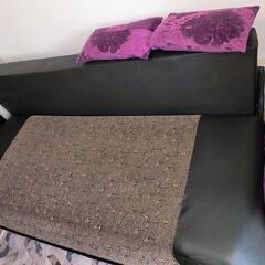 Donez canapea extensibila