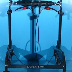 Premergator antrenor de mers Ormesa Dynamico