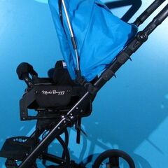 Carucior pentru copii cu dizabilitati Modi Buggy