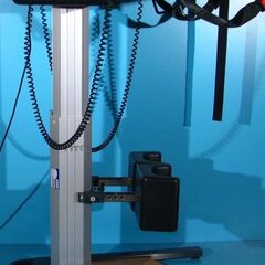 Verticalizator electric - Richter