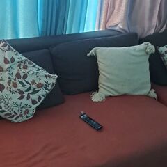 Donating Sofa for Free