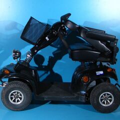 Scuter electric Free Rider - 14 km h