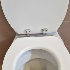 Donez vas wc suspendat