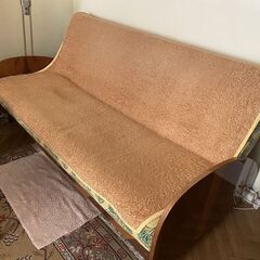 Donez set canapea extensibila
