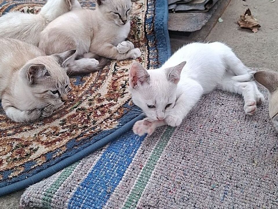 3/4