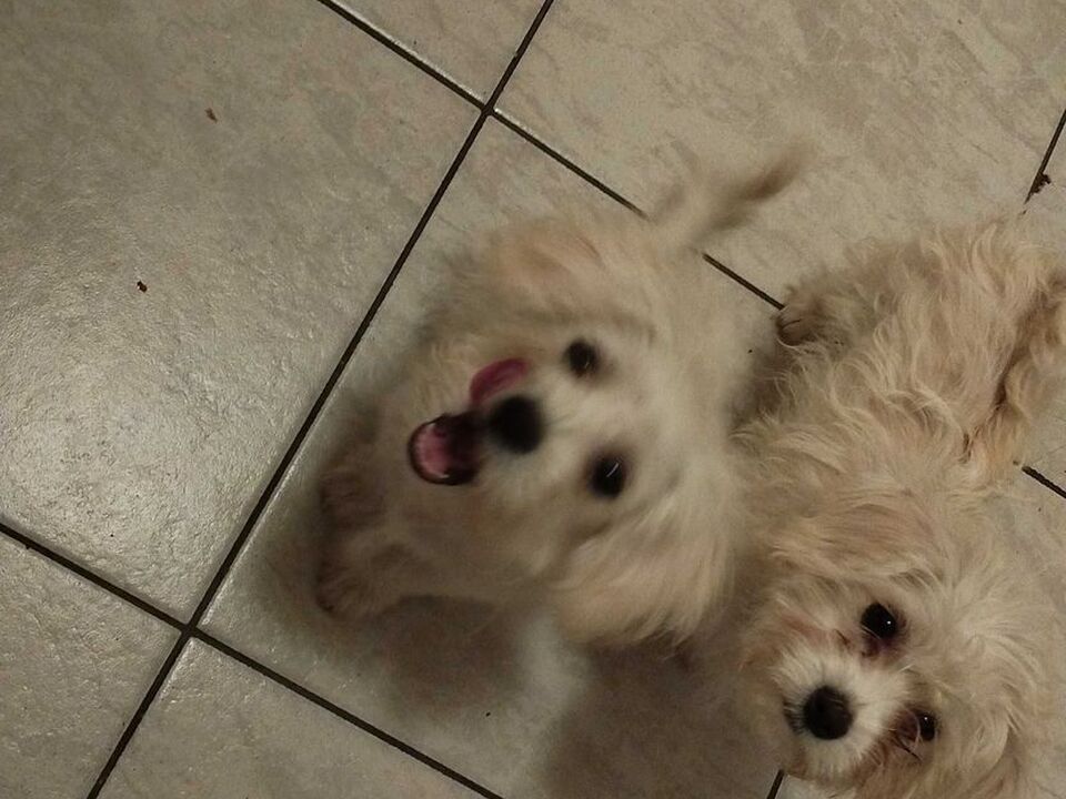 2/3