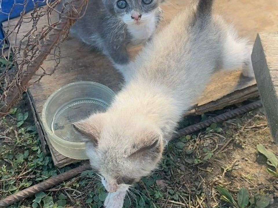 3/4
