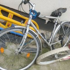 Donez 3 biciclete