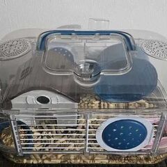 Donez Hamster+ cusca si accesorii