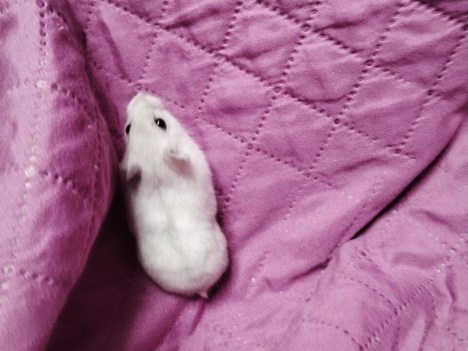 5/6