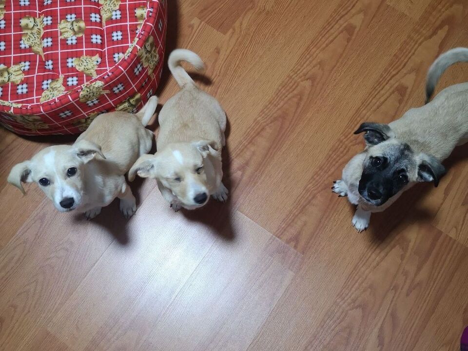 4/6