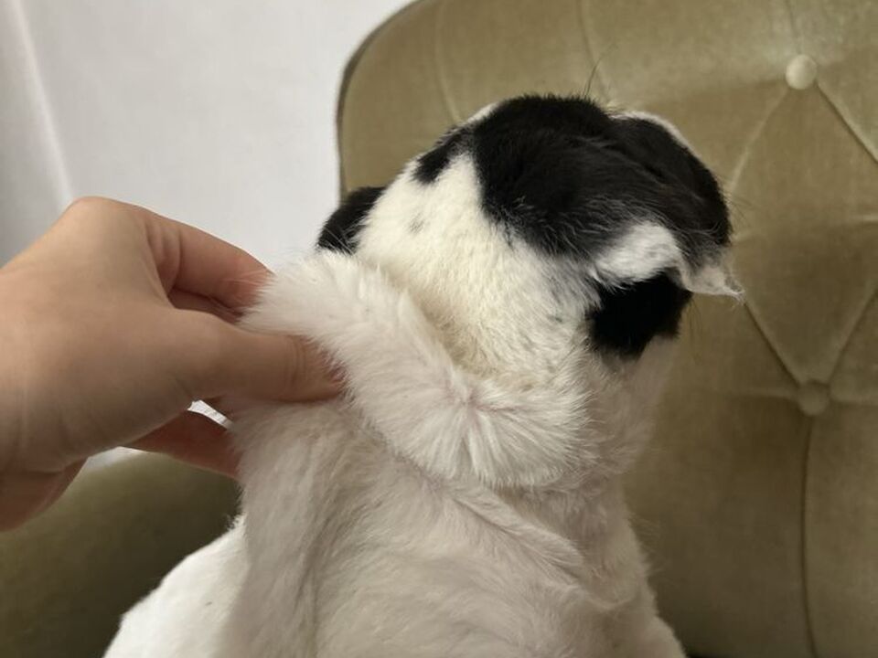 4/8