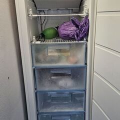 Congelator Indesit