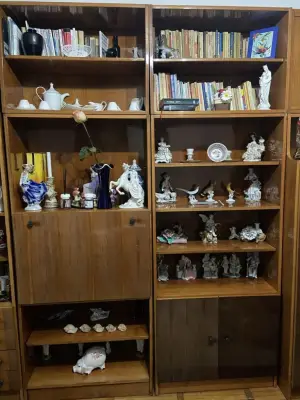 Donez la Resita, mobila de sufragerie.