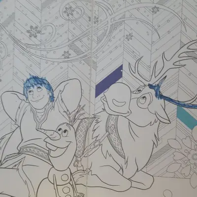 Donez Carti de colorat regatul de gheata 2bucati identice