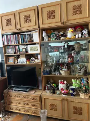 Donez 3 paturi cu lada laterala, o sofa, 3 fotolii, biblioteca pal si sifonier lemn