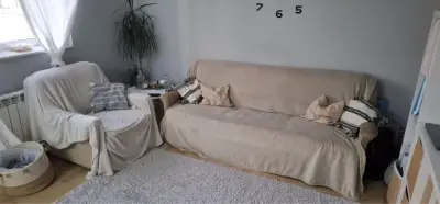 Donez canapea si fotoliu