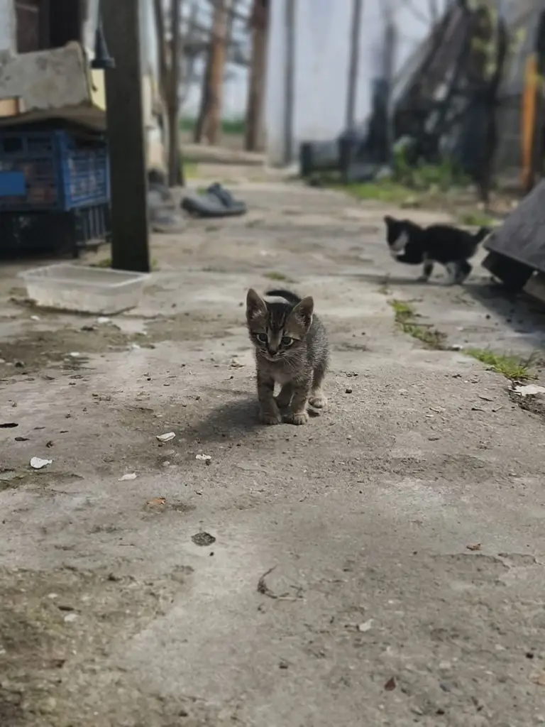 3 / 4