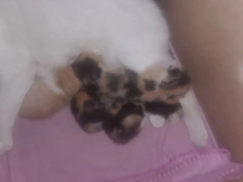 7 / 7
