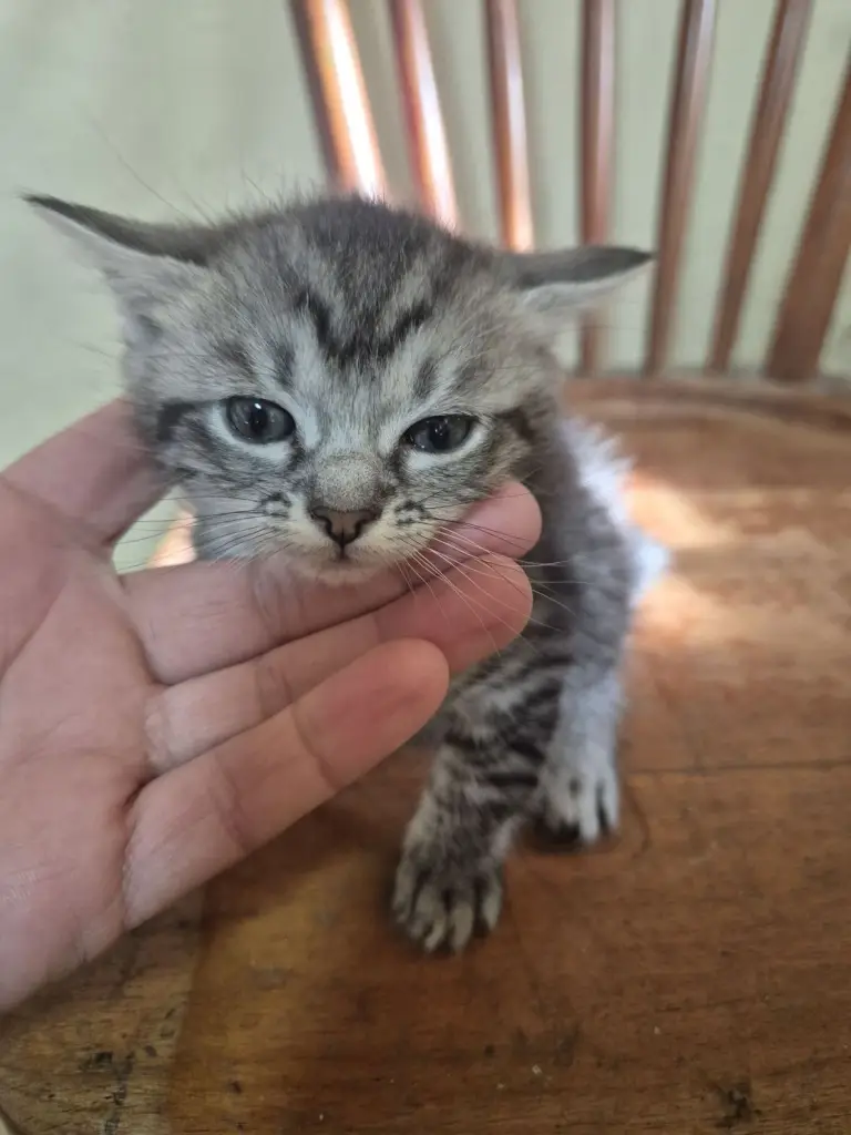 5 / 8