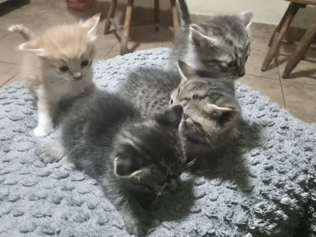7 / 8