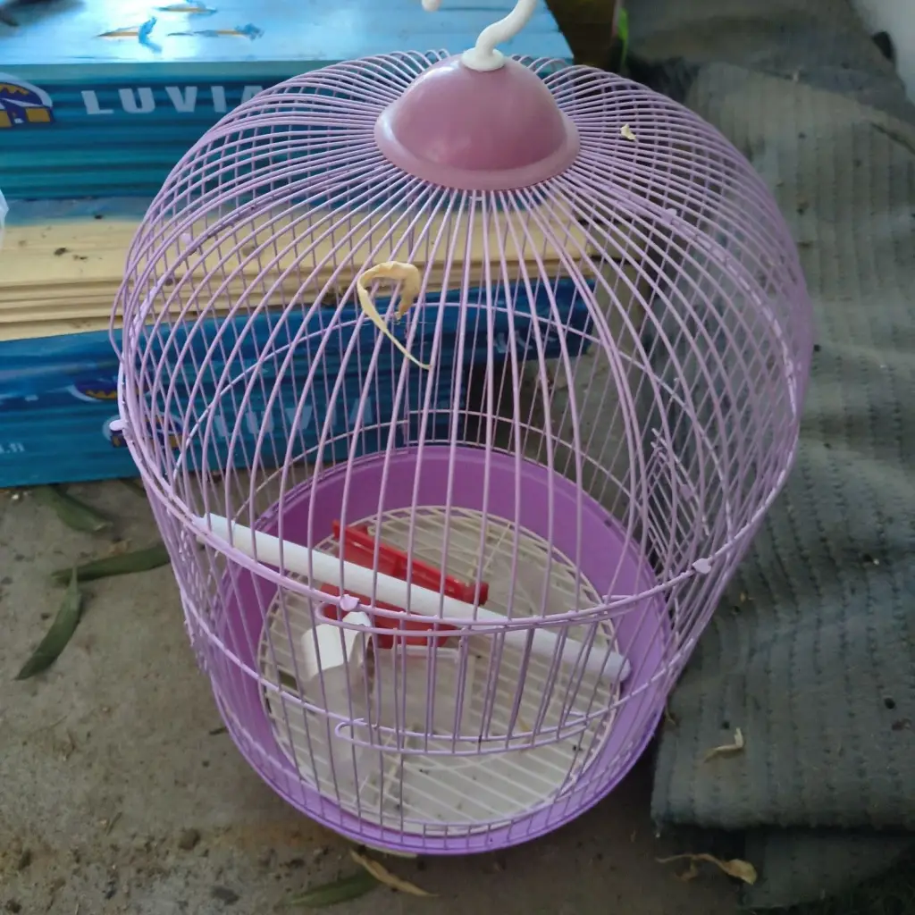 1 / 1