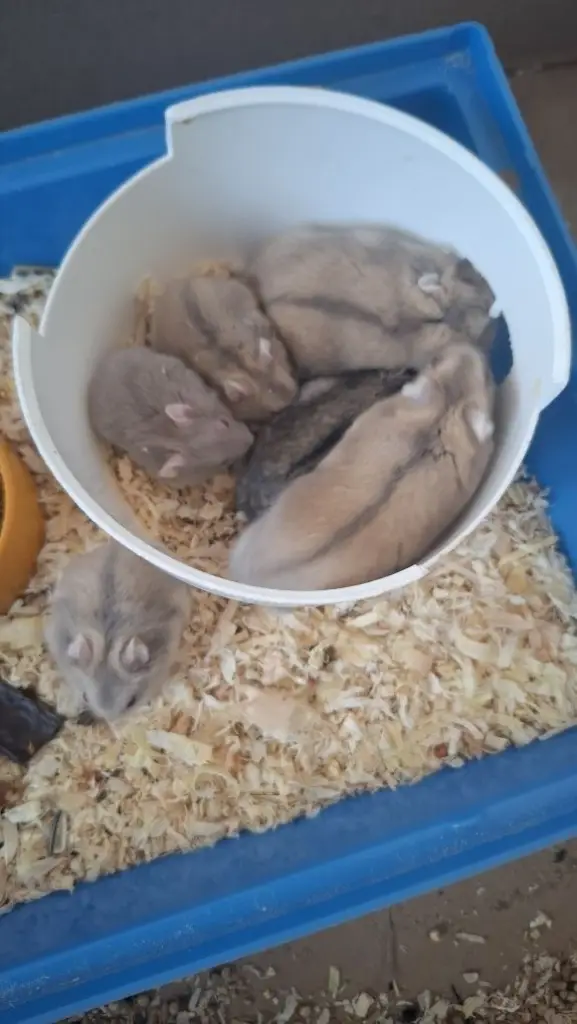 3 / 3