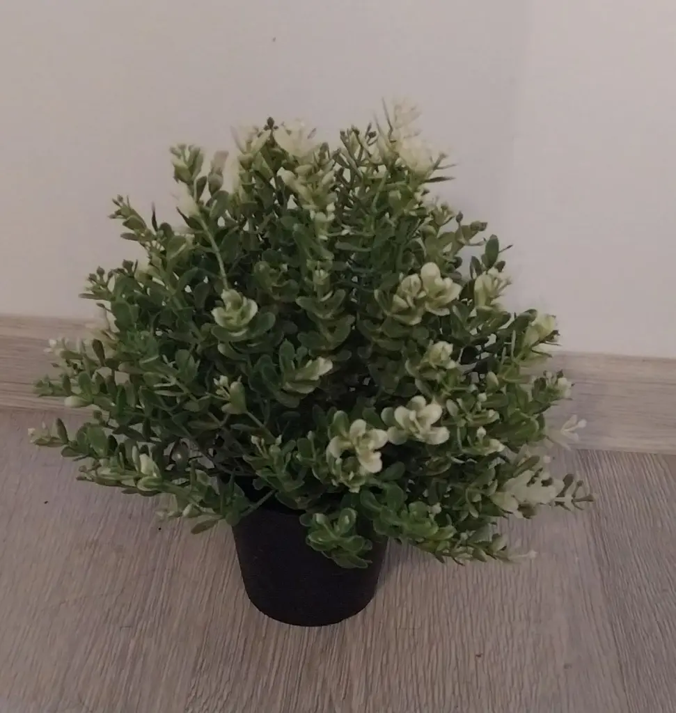 2 / 2