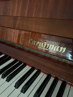 Donez pianina Caraiman