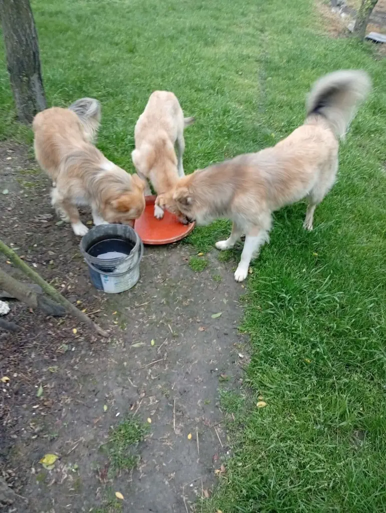 3 / 5