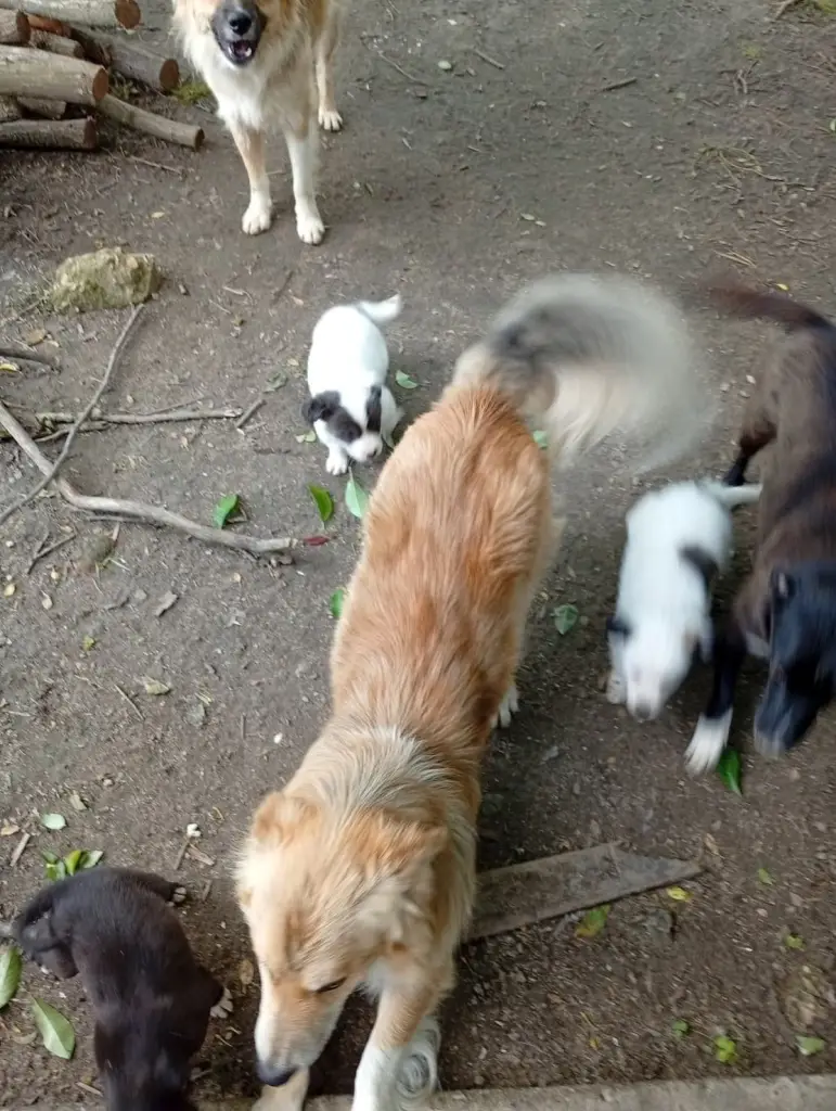 4 / 5