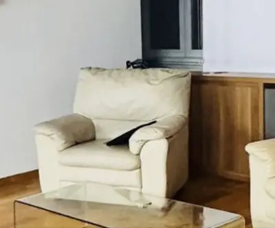 Donez fotolii piele naturala mobexpert 2 buc