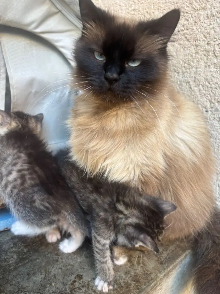 3 / 3