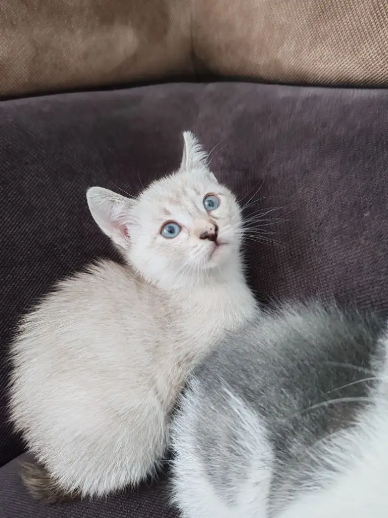 5 / 8