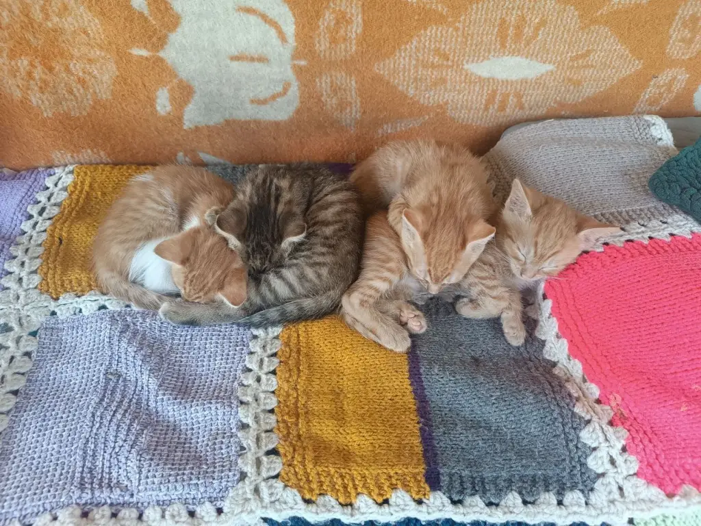 3 / 4