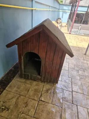DONEZ! Cusca pentru caine