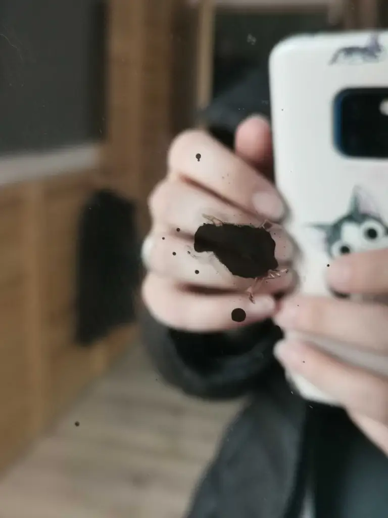 4 / 8