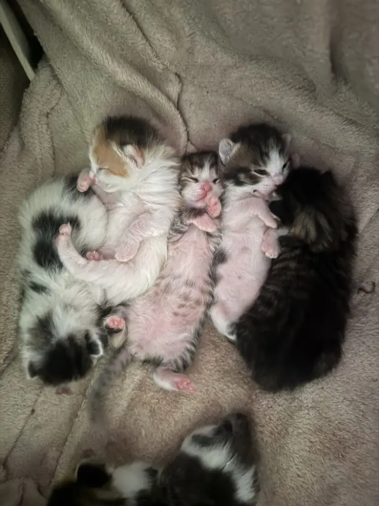 6 / 6