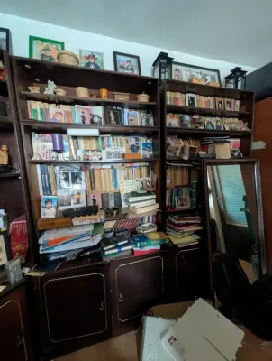 Biblioteca sufragerie anii '70 GRATUIT