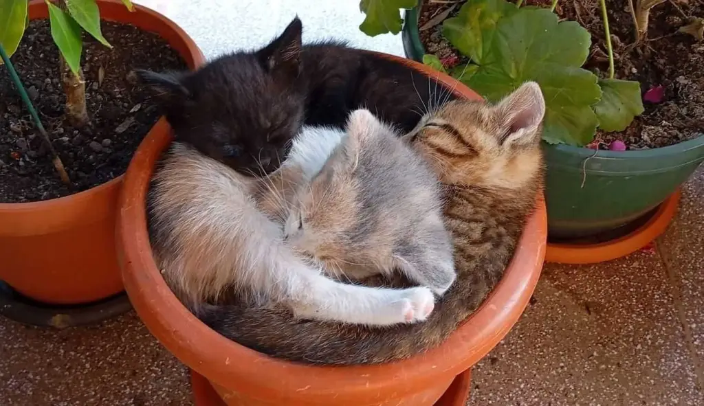 6 / 6