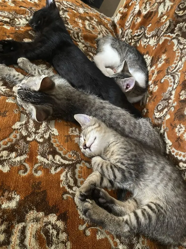 7 / 8
