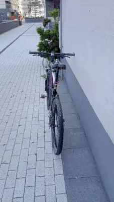 Donez Bicicleta Cannyon 26" unui elev silitor