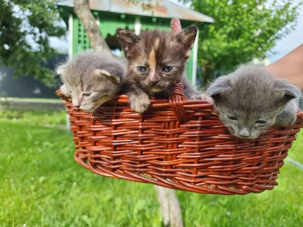 6 / 8