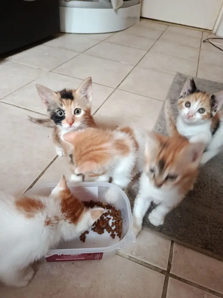 3 / 8