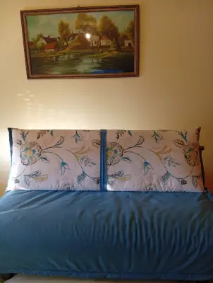Donez canapea extensibila